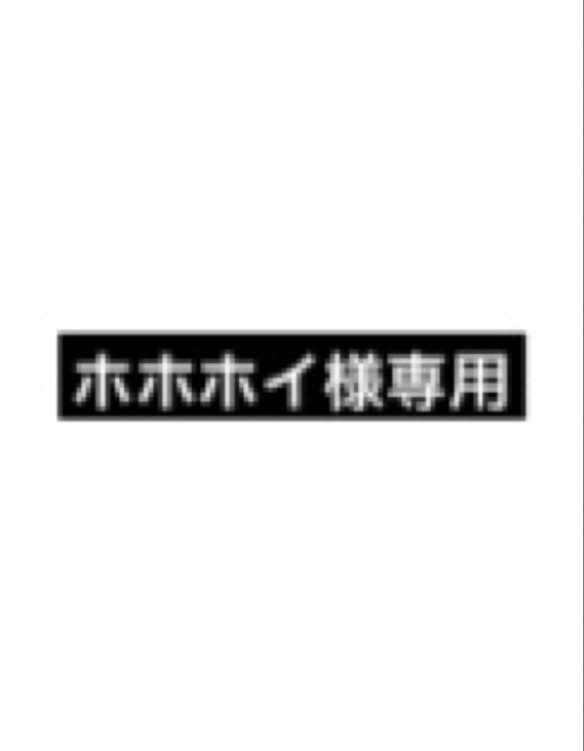 ホホホイ様 スカイライン