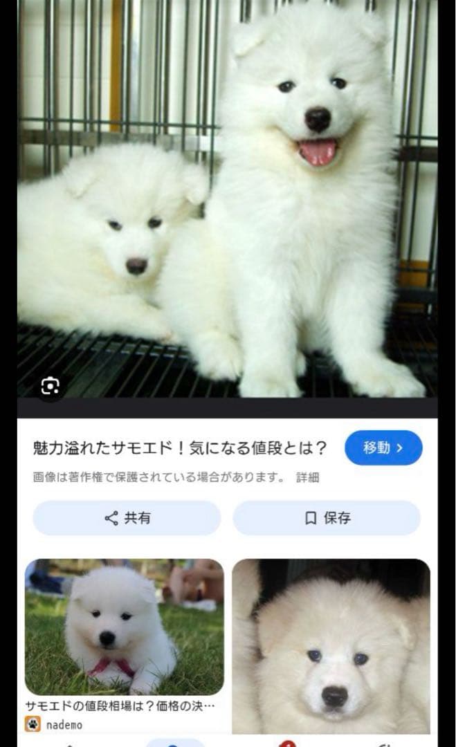 ぼくじん