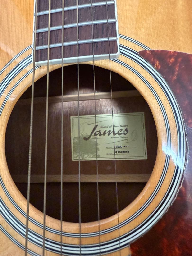 JAMES ジェームス J-300D NAT アコースティックギター ドレッド