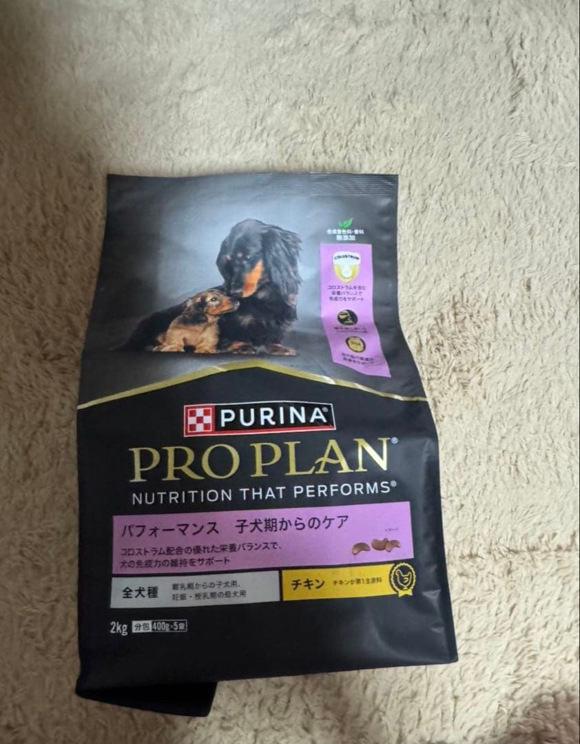 ペット犬用品