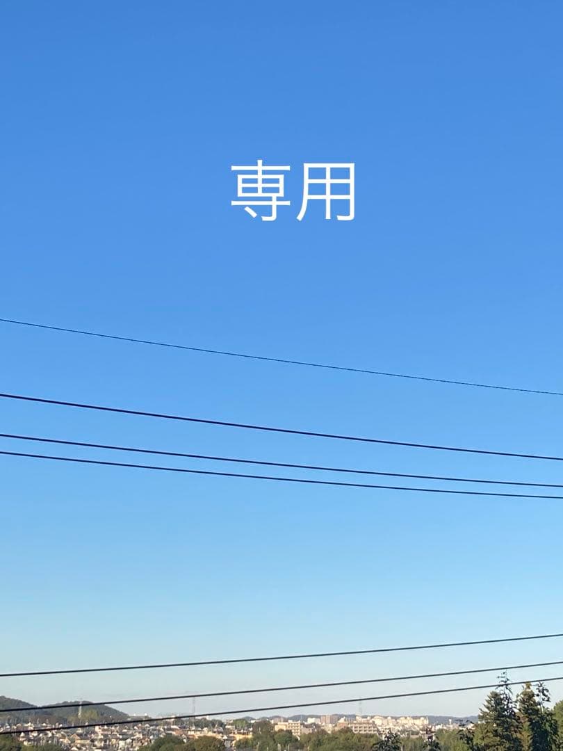 《専用》ハンドメイドネックレス　オルゴナイト　8点