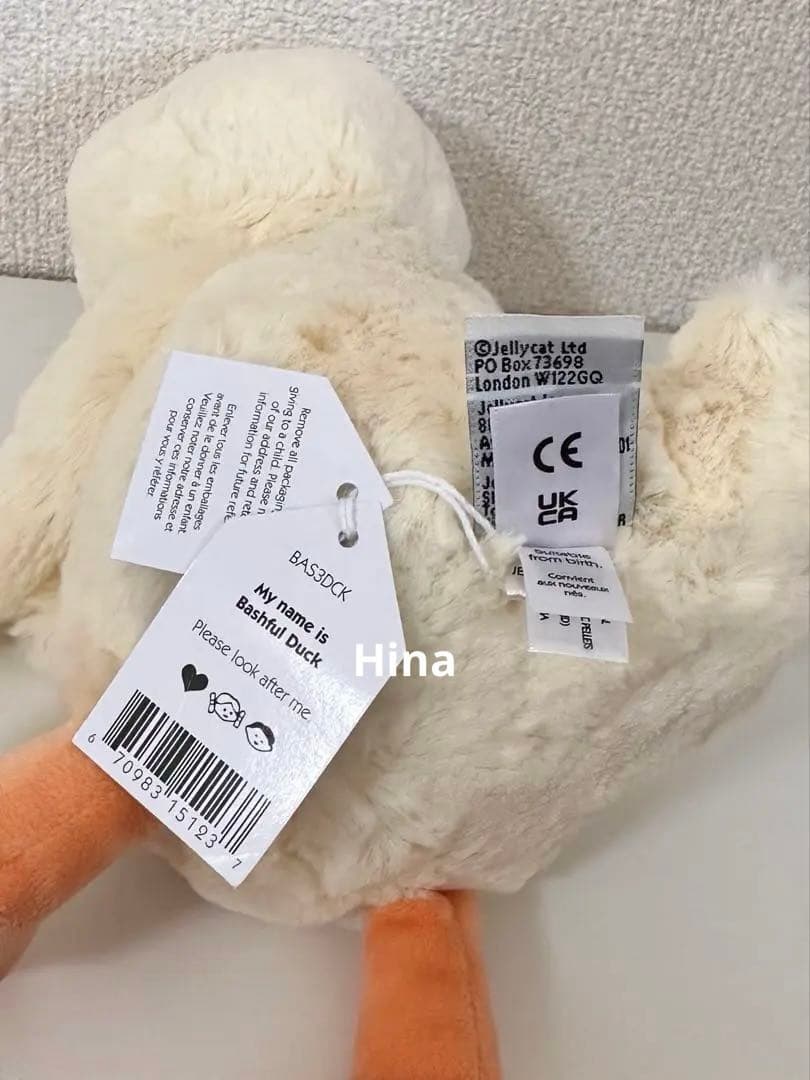  ♡ Bashful Duck