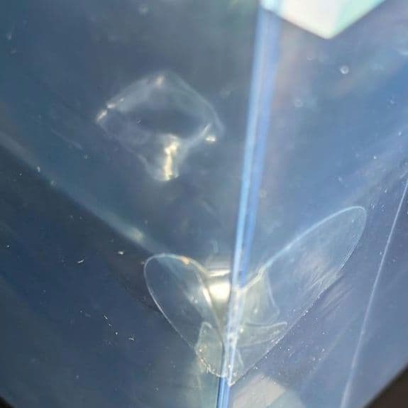 宝石の国 フォスフォフィライト 1/8 完成品フィギュア