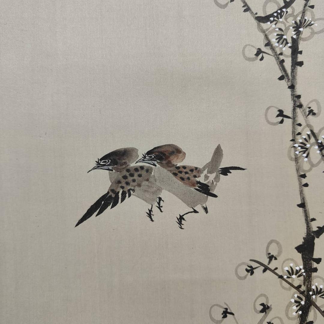 真作/学鴻/梅/雀図/梅雀図/花鳥/中国画/布袋屋掛軸A-595