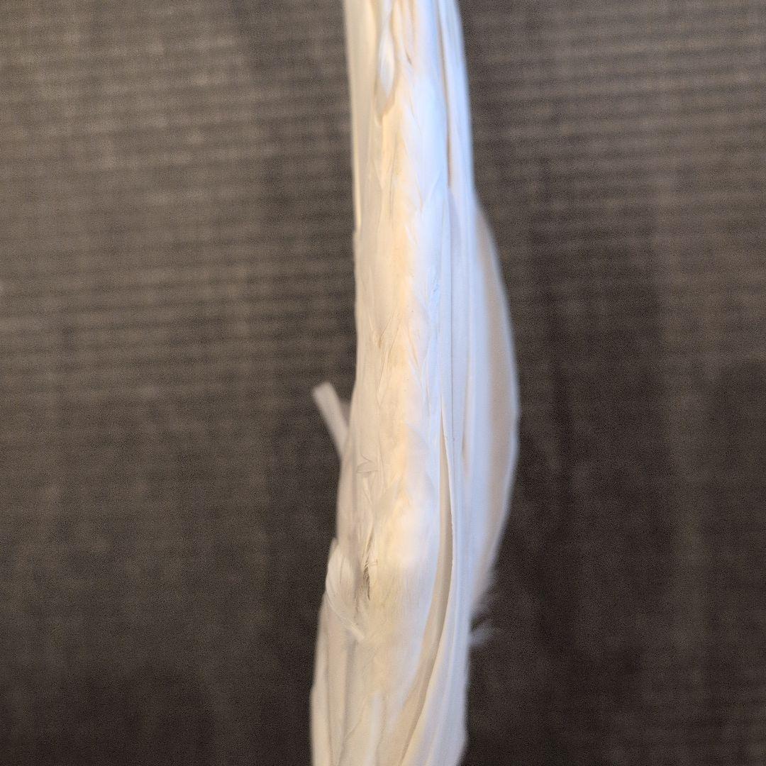 茶道具　羽箒