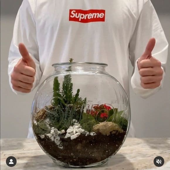 新品⭐シュプリーム⭐ロゴ ガラス アクアリウム 水槽 金魚鉢 テラリウム 花瓶