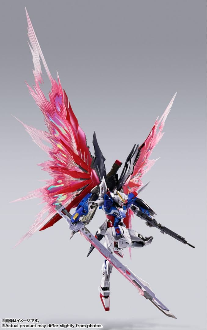 デスティニーガンダム L BUILD FESTIVAL 2024