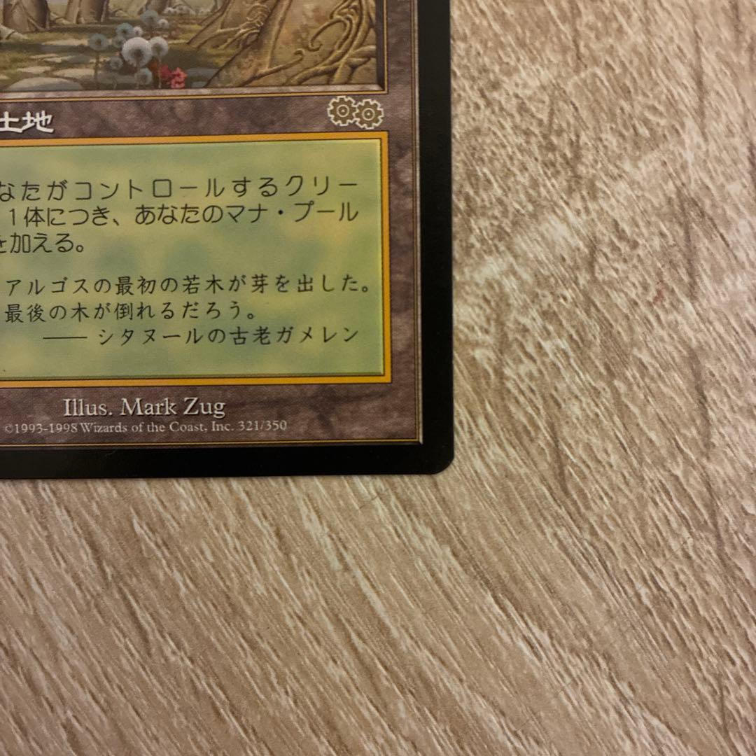 ガイアの揺籃の地 Ｃ