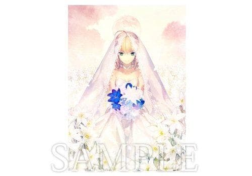 type-moon fes セイバー タペストリー from new world