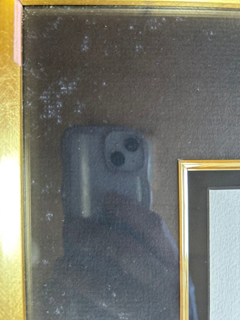 サルバドール・ダリ　リトグラフ「ファッション　デザイナー」ダリ直筆サイン