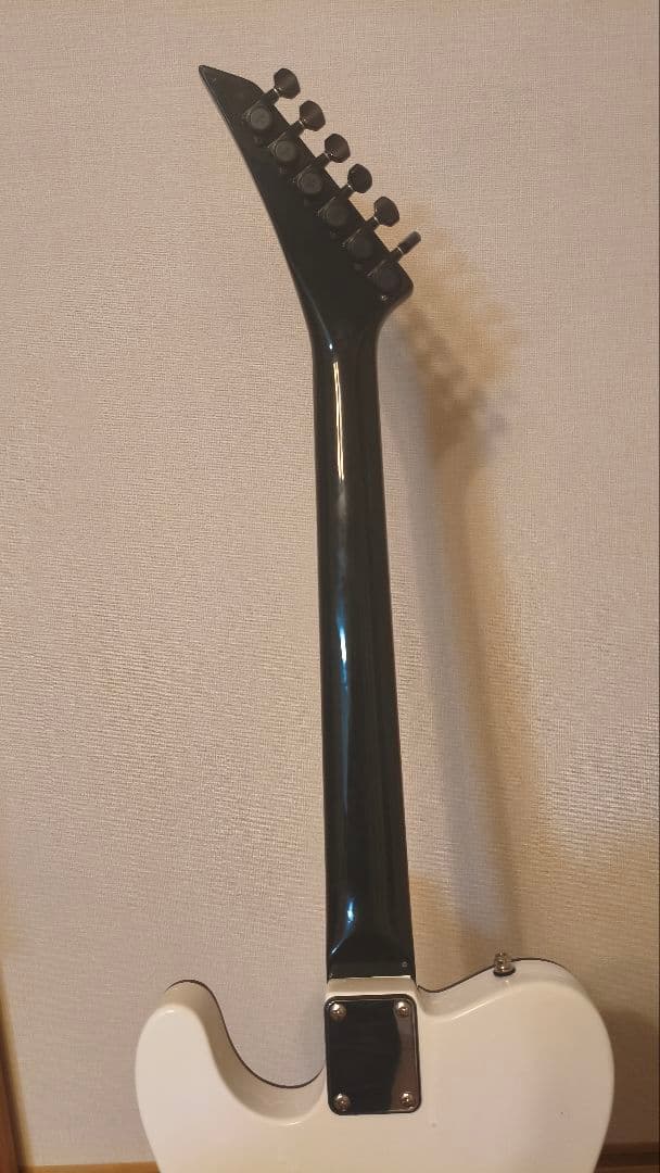 FERNANDES　TEJ-改　with　EMG-SA　布袋寅泰　ピンクライン