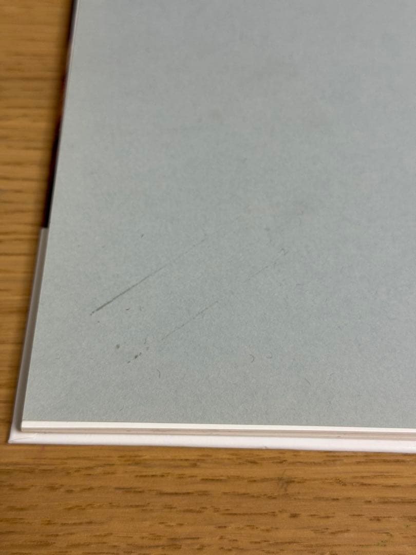 NAOYA HATAKEYAMA | 畠山直哉 | HATJE CANTZ