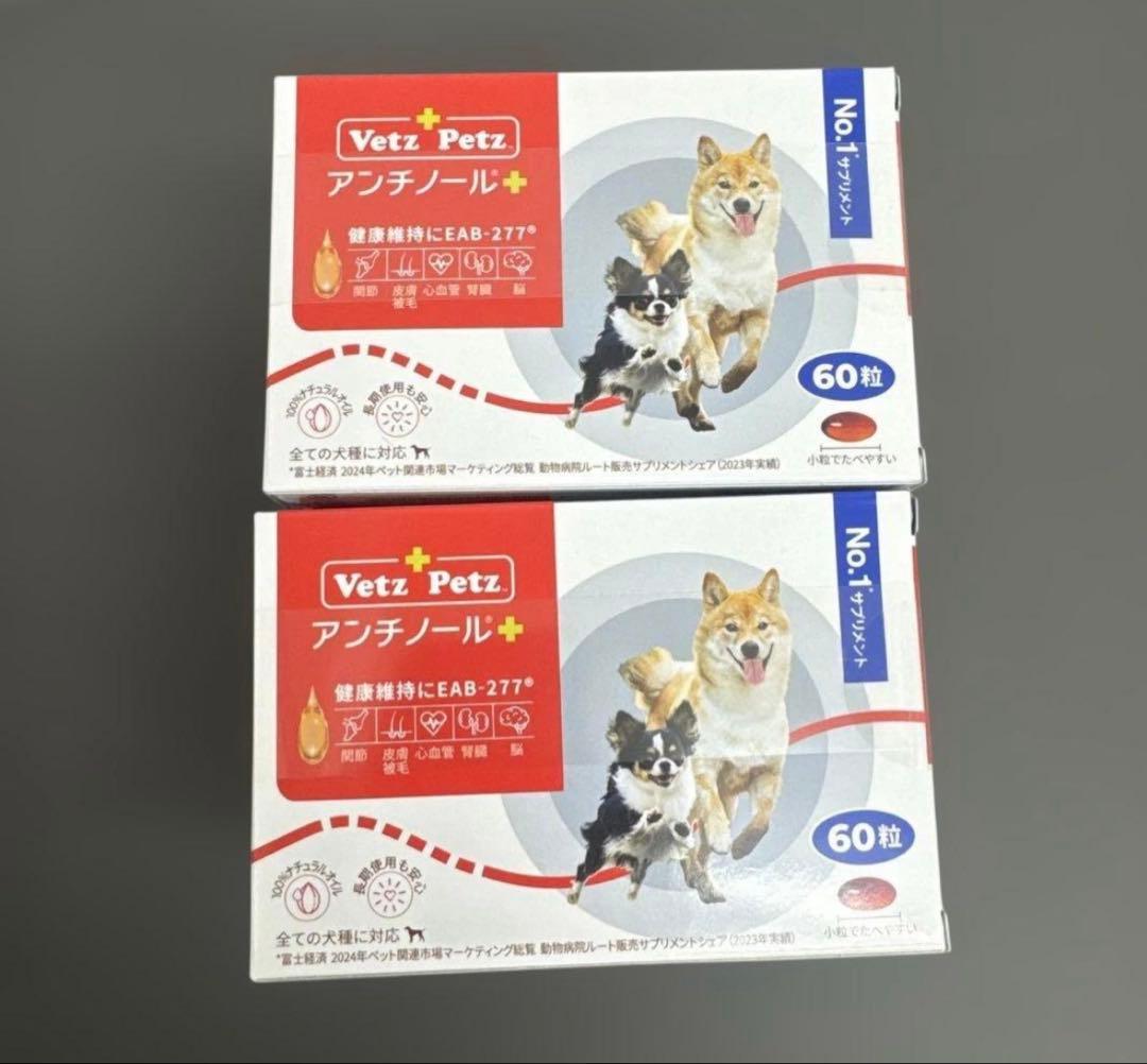 アンチノールプラス60