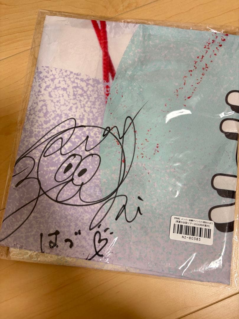 乃木坂46 直筆サイン入り個別のぼり2023 向井葉月