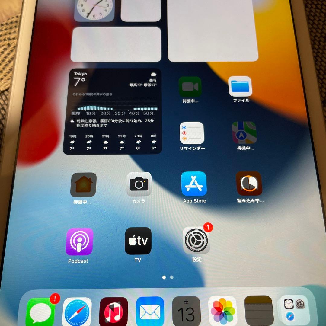 iPad本体 iPad mini4 128GB