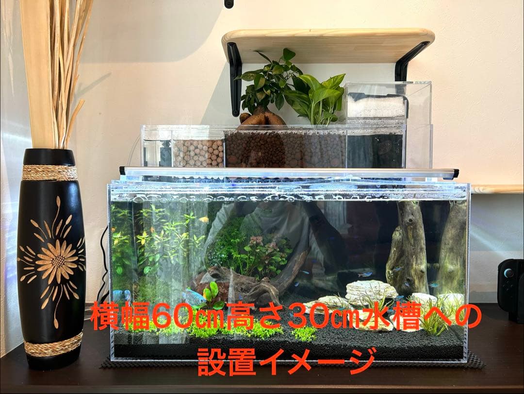 上部濾過式アクアリウム水槽アクアポニックス仕様　60cm幅水槽用