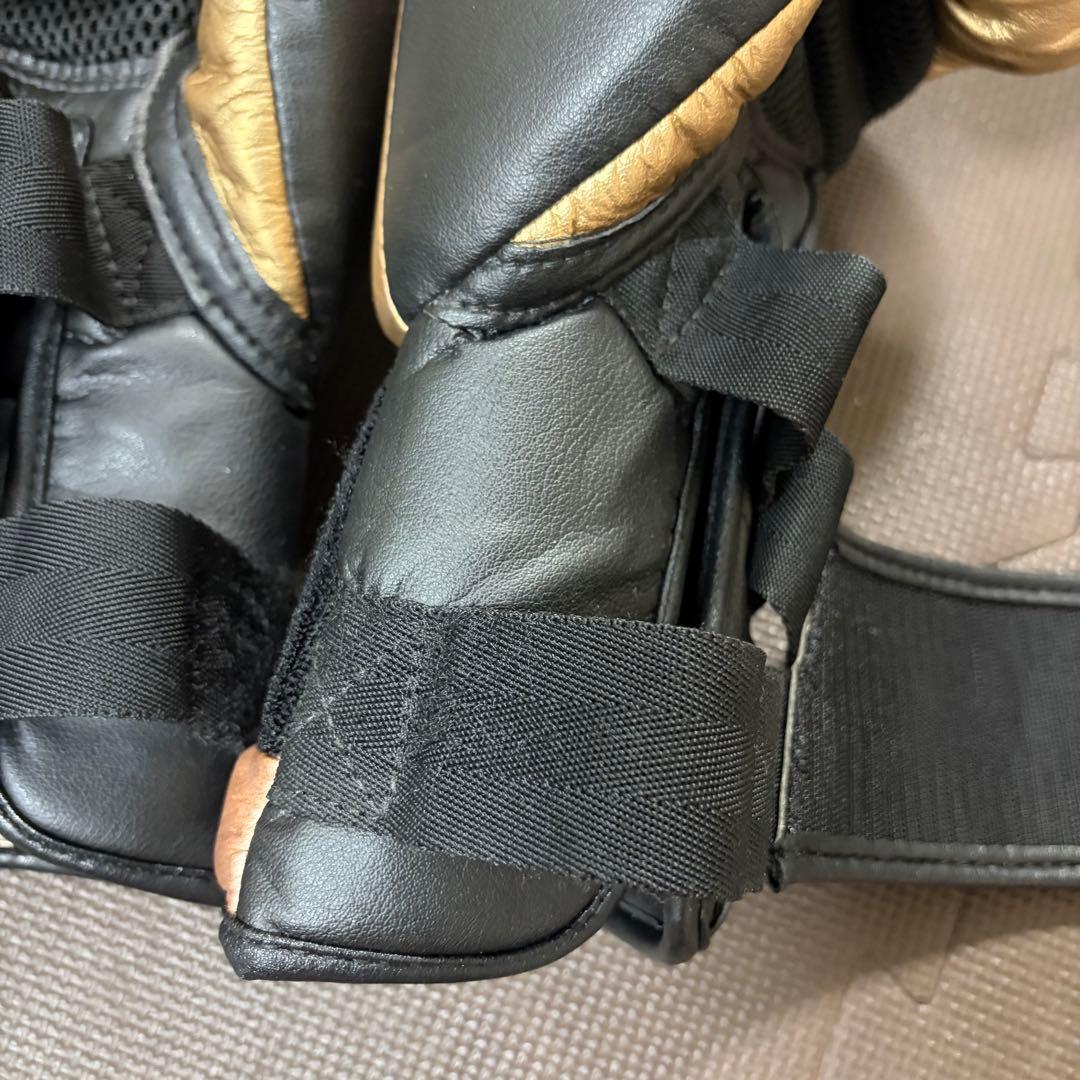 RIZAL EVOLUTION ボクシンググローブ ゴールド/ブラック　14oz