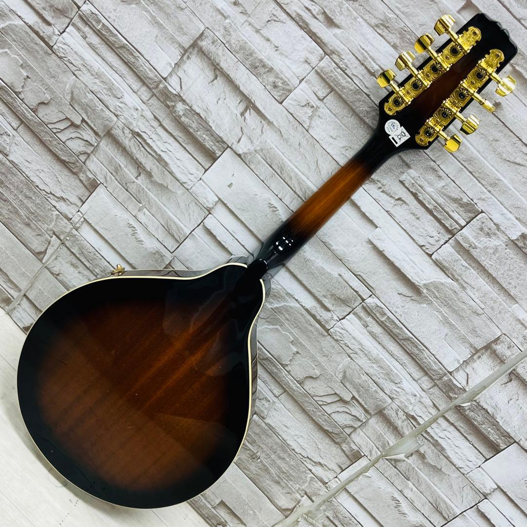 美品 Epiphone エピフォン フラットマンドリン MM-30 VS
