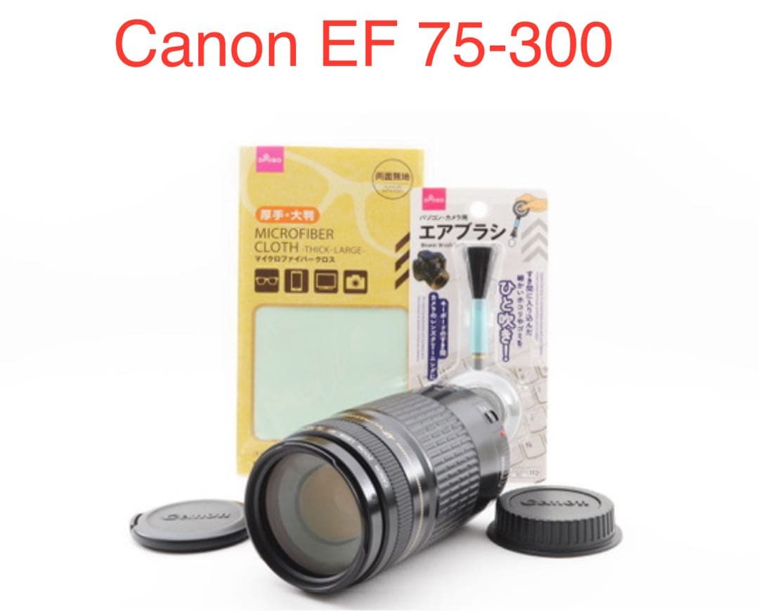 人気の望遠レンズ/デジタル一眼レフカメラ/Canon EF75-300㎜