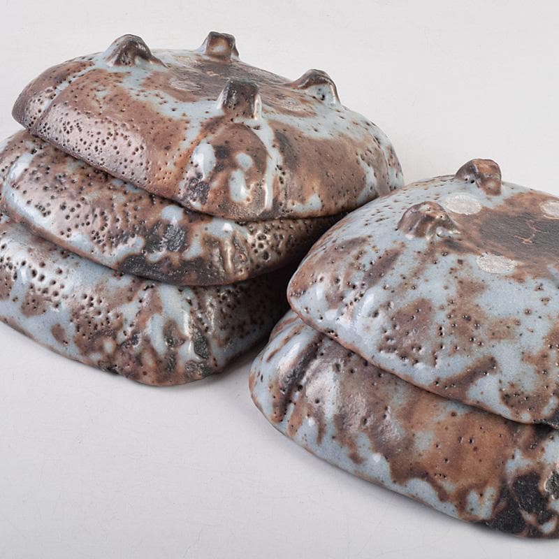 和食器　美土里窯　鼠志野　草文　向付　五客　共箱　M　R9246B