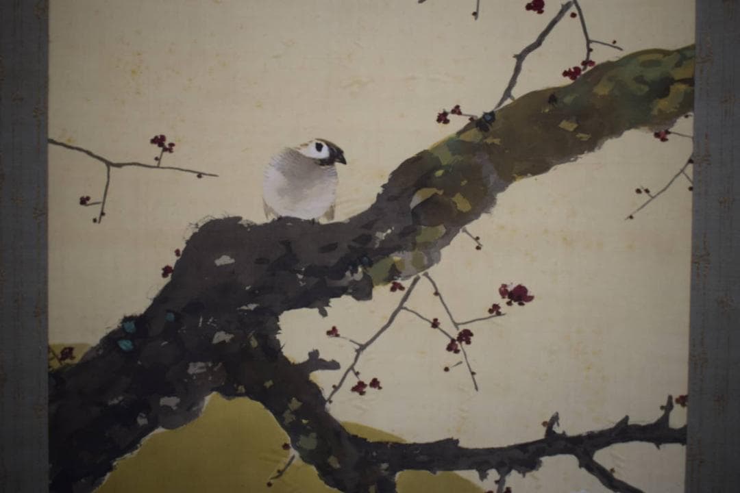 真作/菊池芳文/紅梅に雀図/紅梅に小禽図/桐共箱二重箱付/布袋屋掛軸HI-250