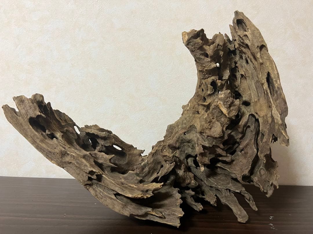 XM-321 流木マシンガンウッド　ブランチウッド　アクアリウム　沈水確認済