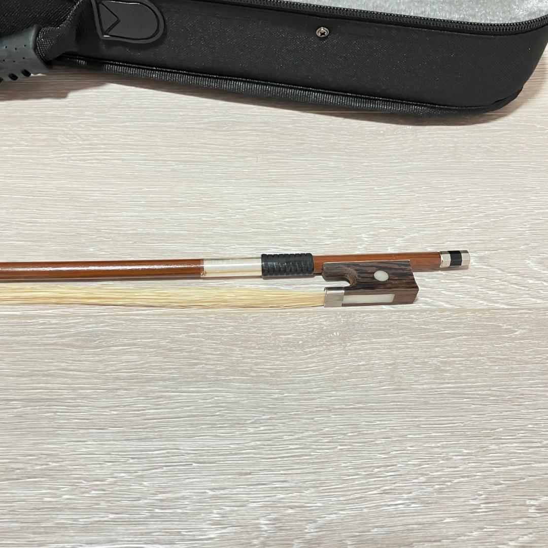 バイオリン Hallstatt V-12 BK 4/4 ケース付属 初心者向け