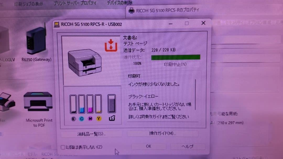 Ricoh SG5100 インクジェットプリンター 本体のみ