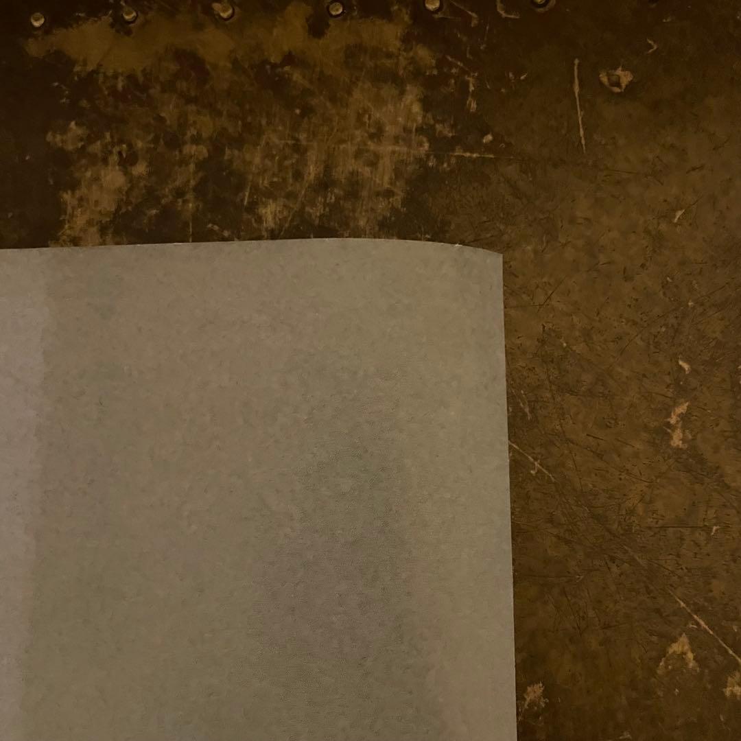 90s デッドストック TAXY D 大判ポスター