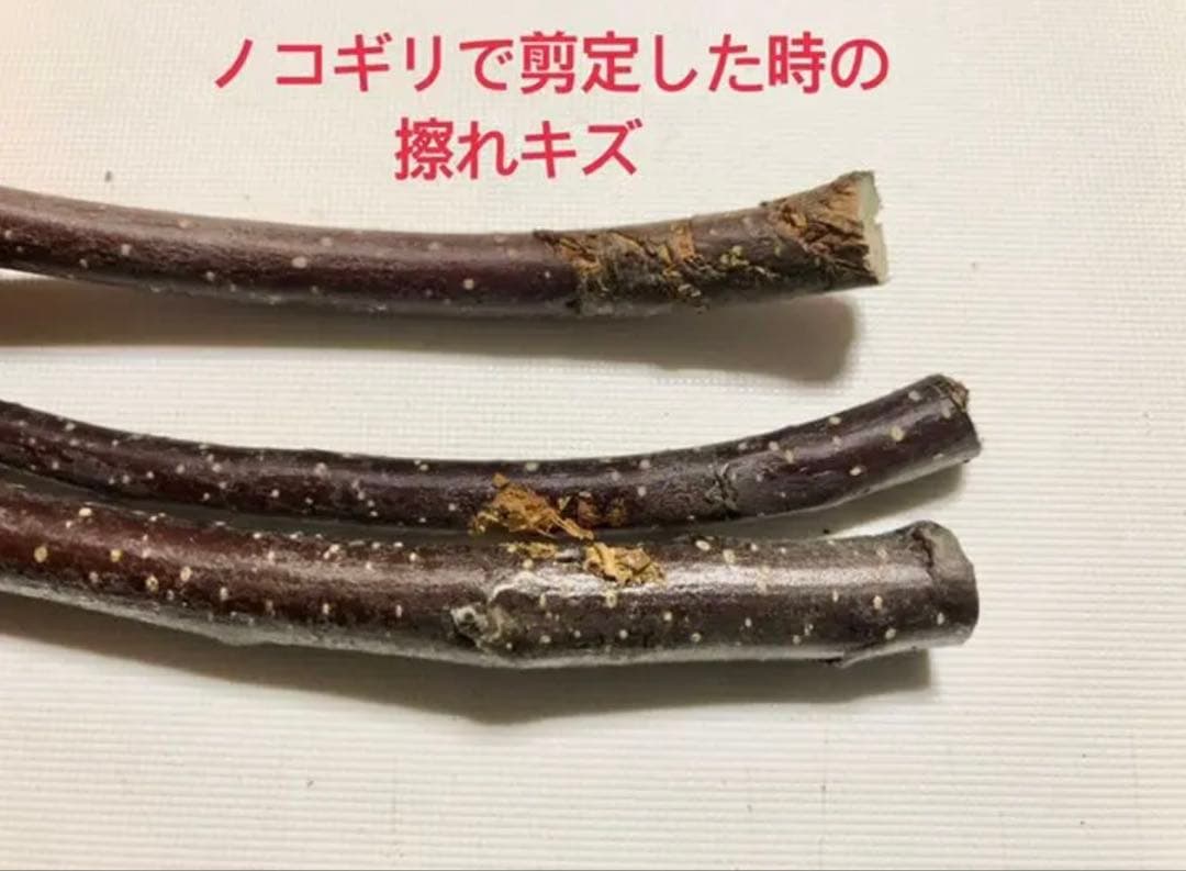 りりママ様