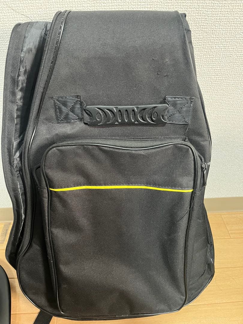 Grassroots エレキギター ブラック