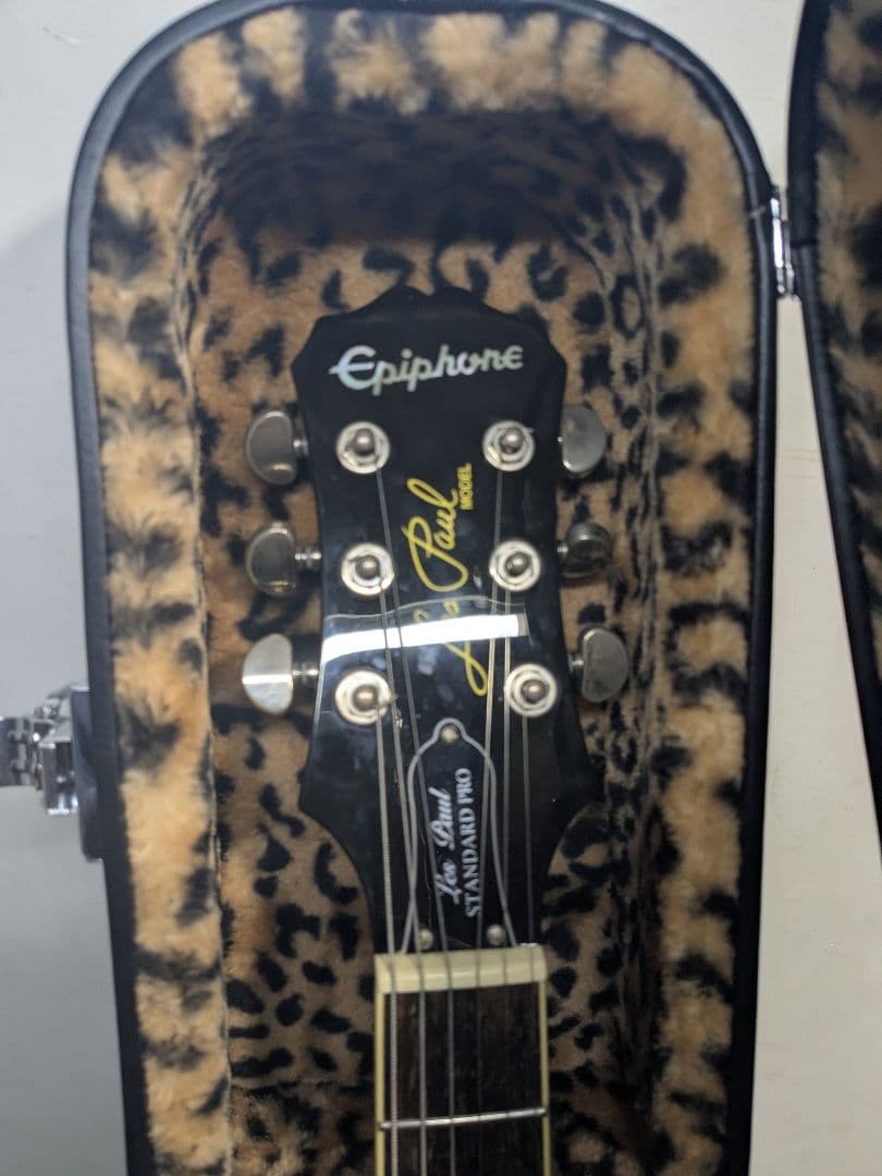 Epiphone ギターケースGREENDAYモデル　レスポールジュニア用