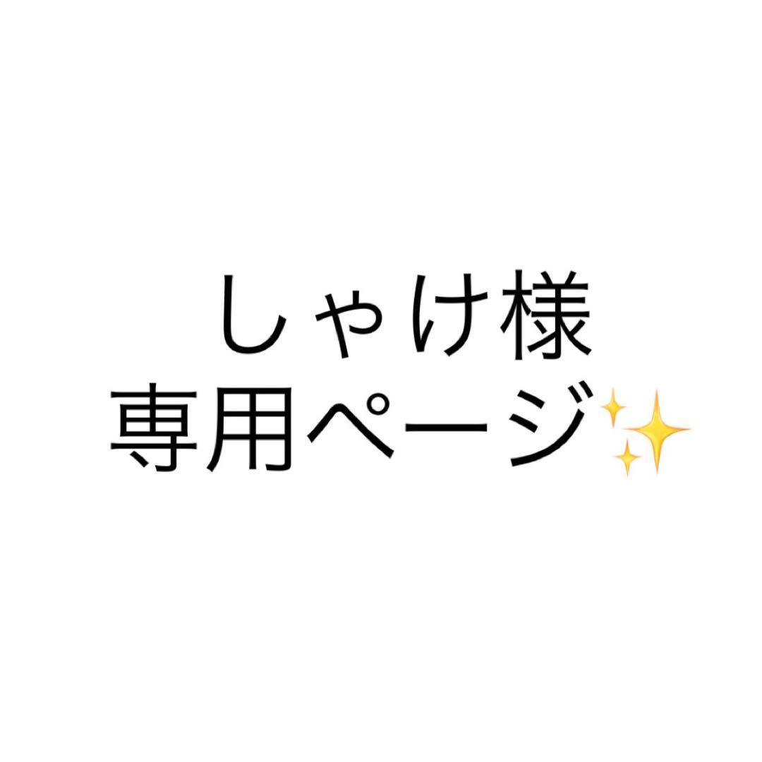 しゃけページ✨️