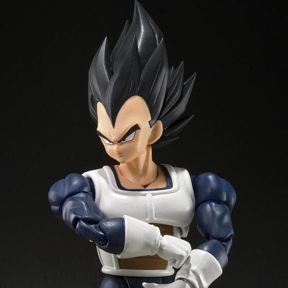 S.H.Figuarts ベジータ-旧戦闘服- 6