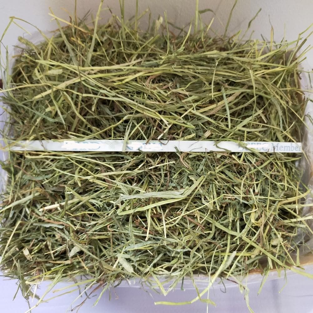 【12/30まで】US産 チモシー 50kg ２番刈り ソフトSプレミアム