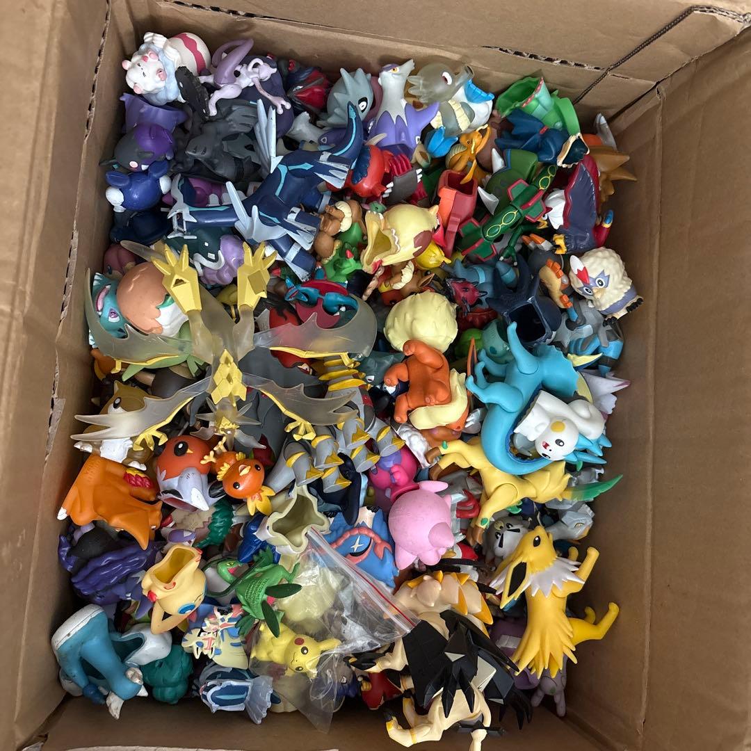 ポケモンキッズ