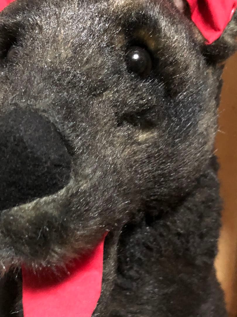 値引き！大特価！大型犬ぬいぐるみ 黒