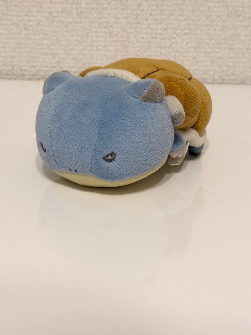 ポケモン　カメックス　マジパン　ポケモンセンター