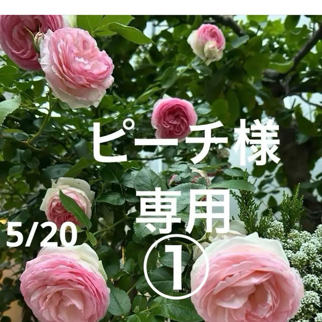 ピーチ