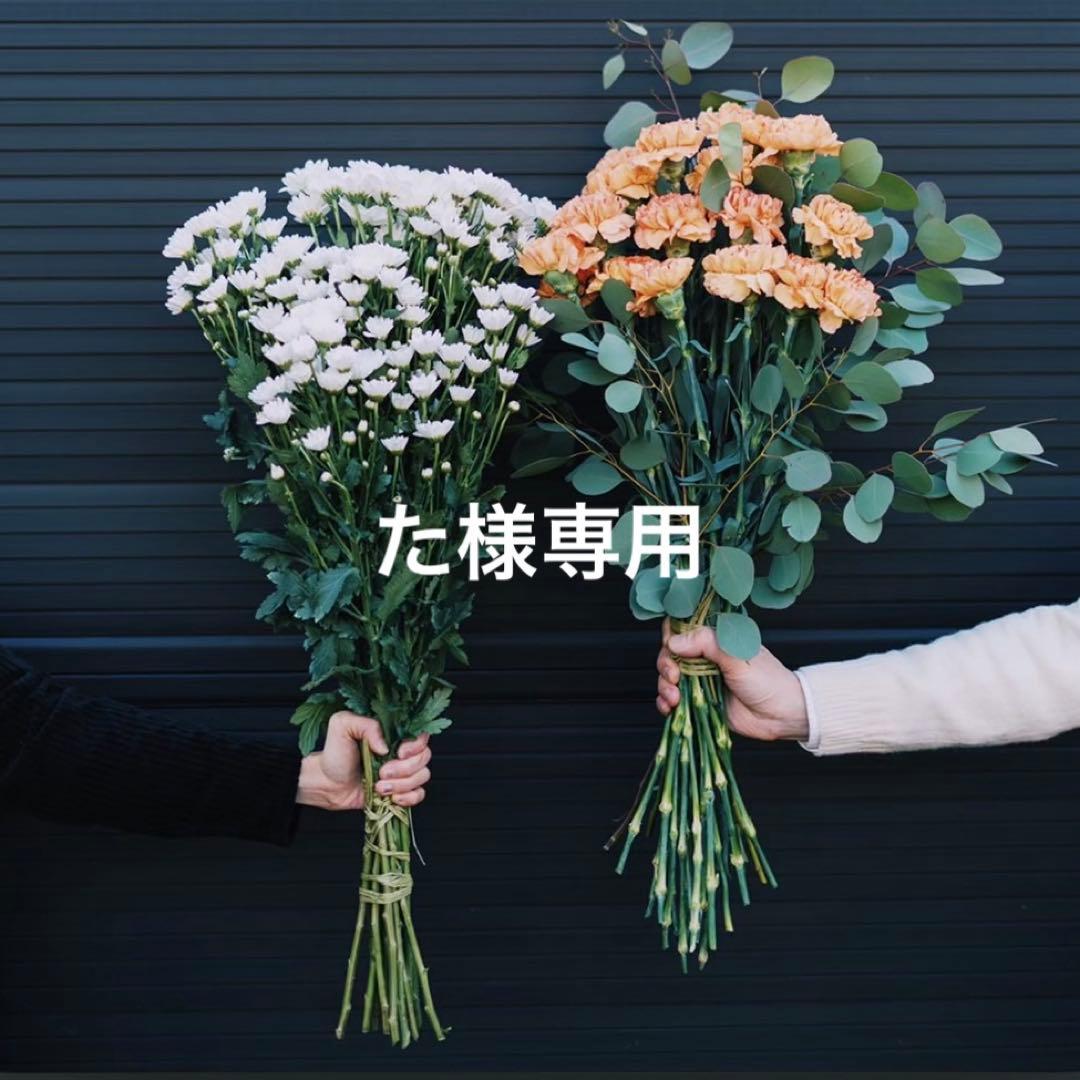 た