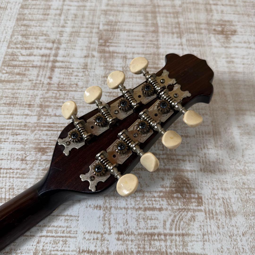 中出六太郎 ROKUTARO NAKADE マンドリン　A70