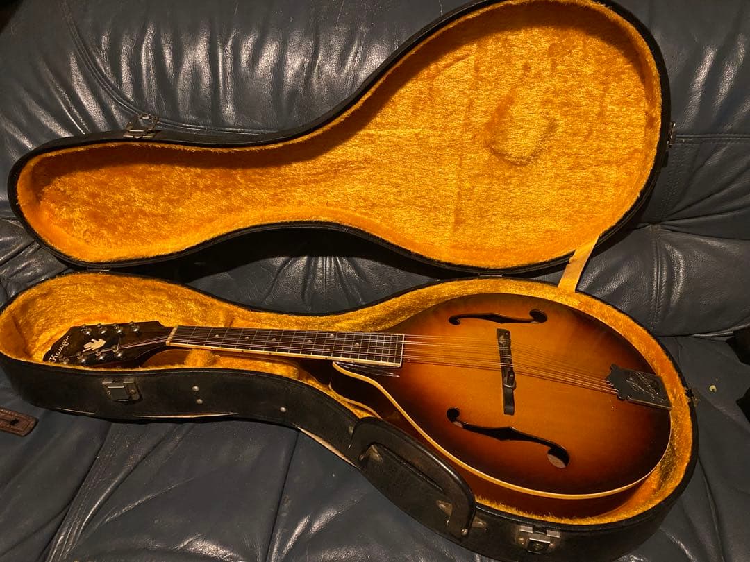 肘痛さま 専用 The Kasuga Customフラットマンドリン