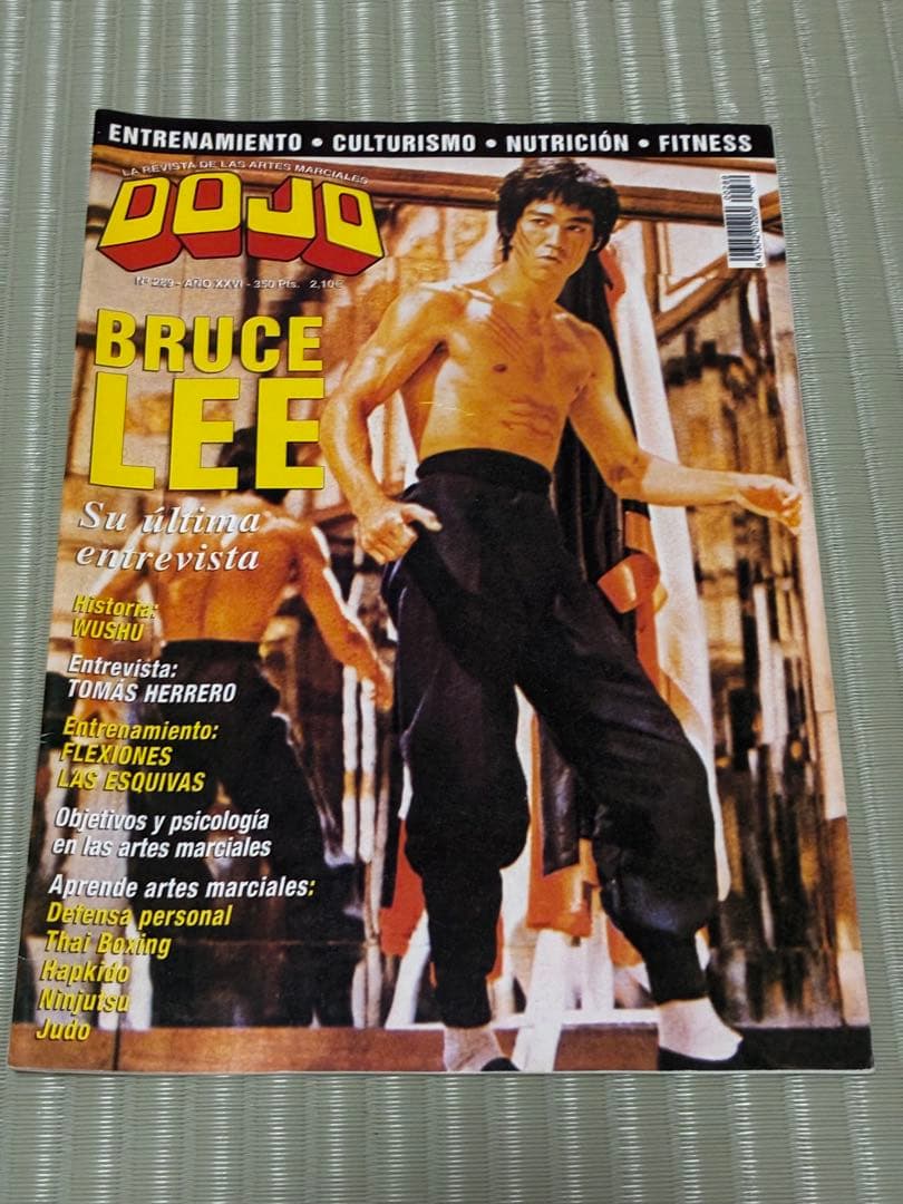 DOJO誌 スペイン版 15冊セット 武道・格闘技