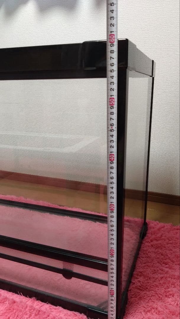 D.paguです。