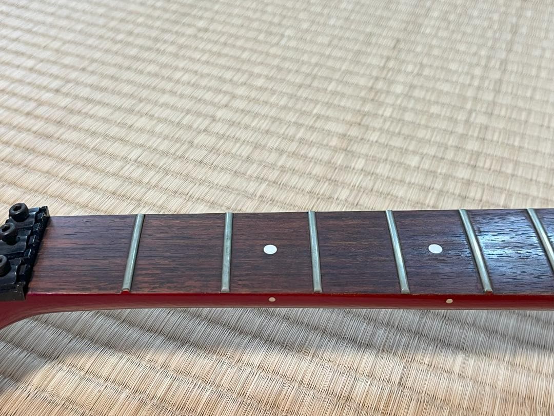 FERNANDES FST-65 電装系なし　スケルトン