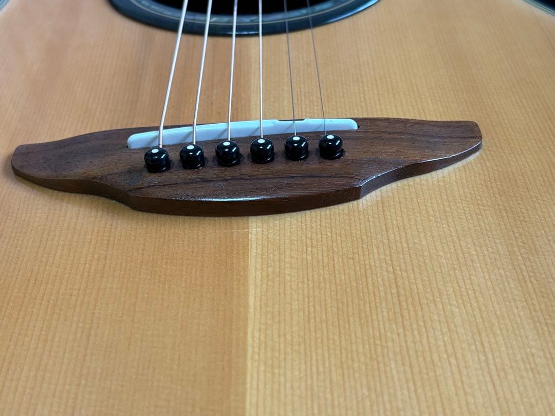 J*n様 Yamaha APX700 NT エレアコ(ハードケース付)