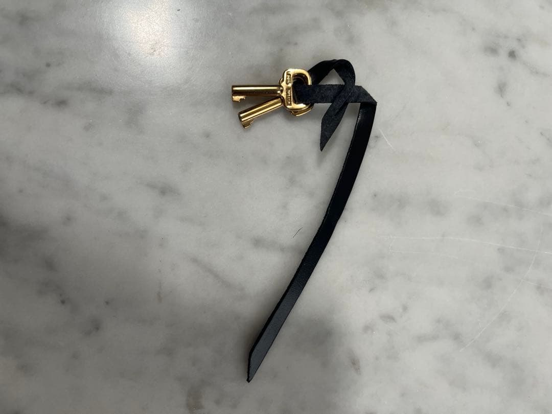 LOUIS VUITTON セルヴィエットコンセイエピビジネスバック