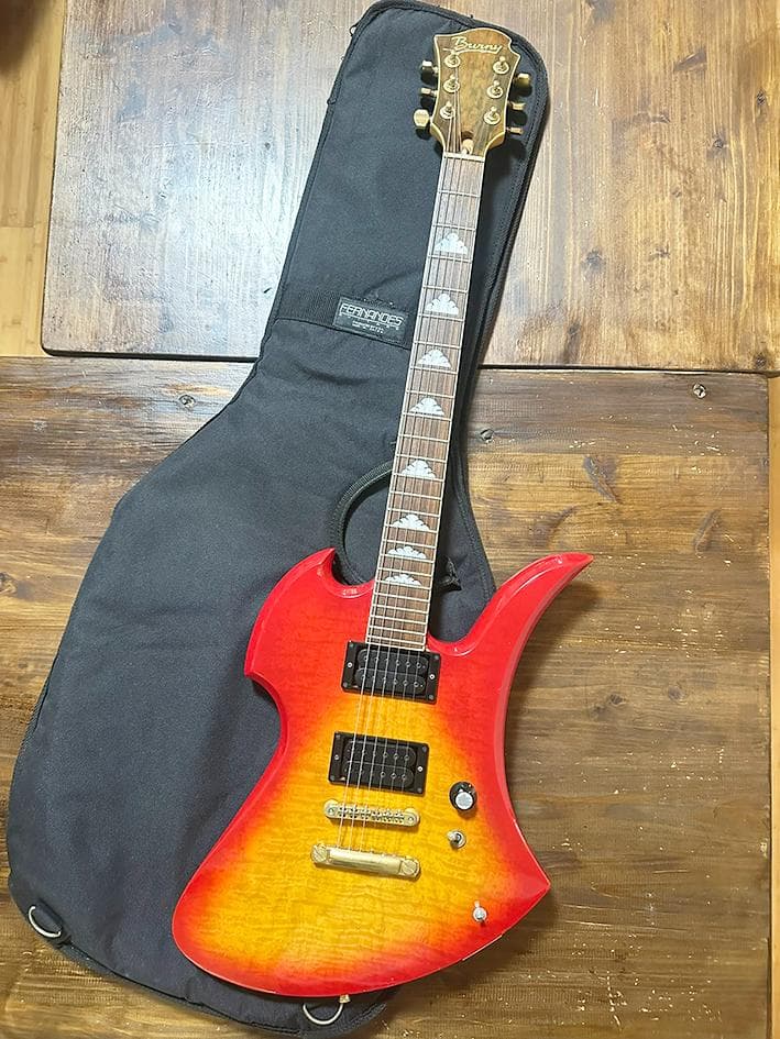 Burny バーニー MG-85CS　モッキンバード MG hide