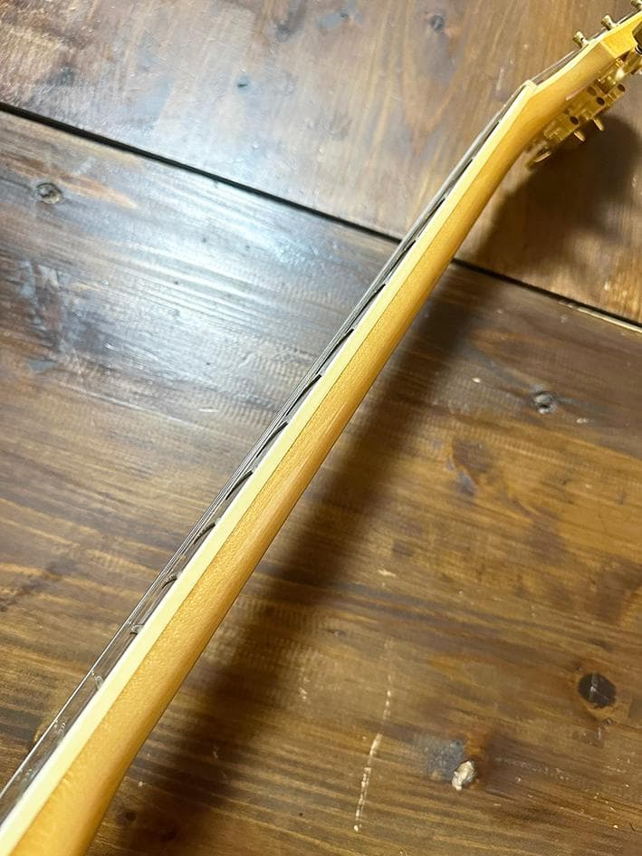 Burny バーニー MG-85CS　モッキンバード MG hide