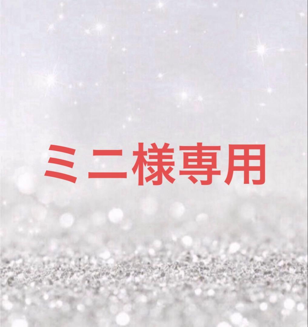 ミニ